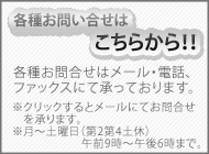 ���⍇���t�H�[��